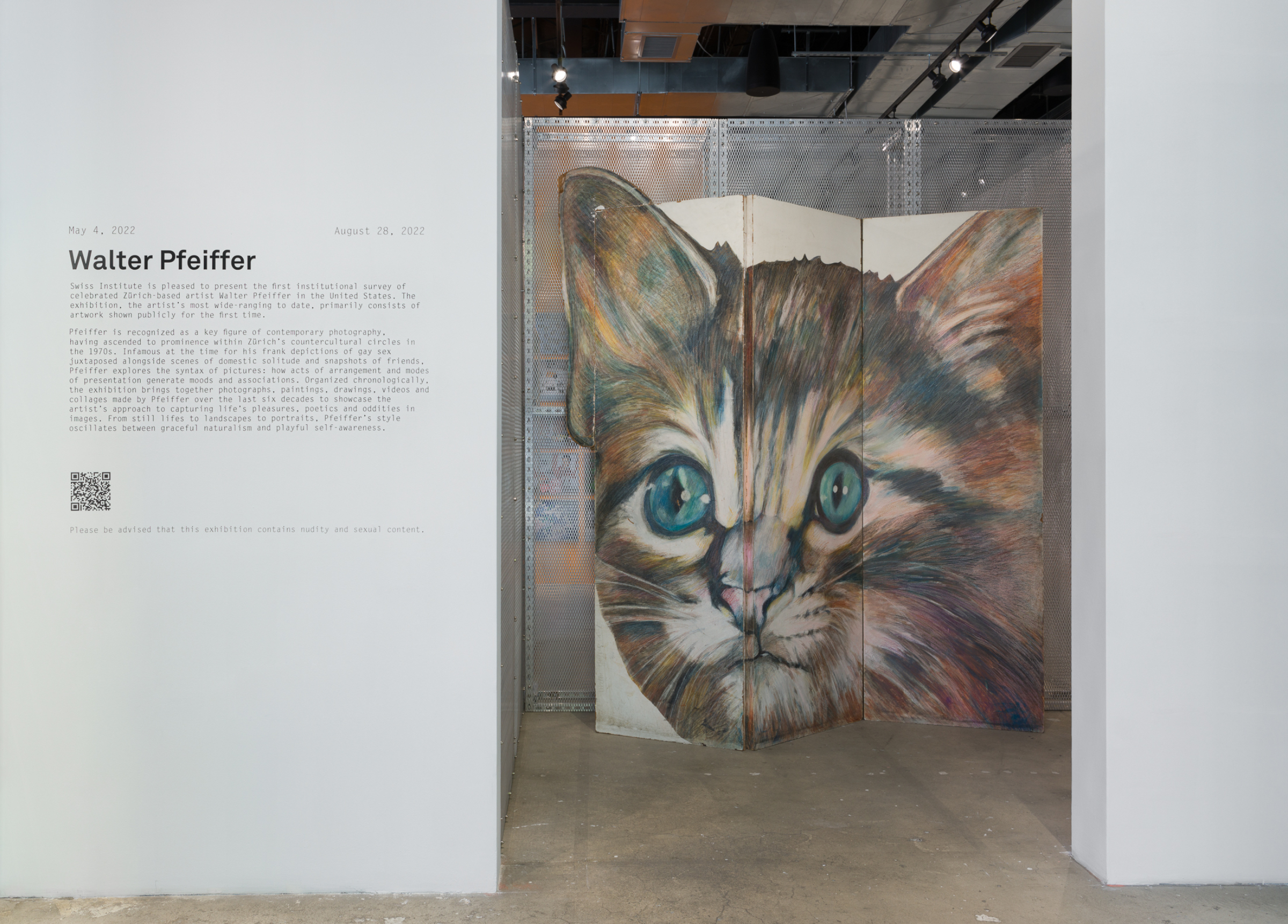 Swiss Institute | Walter Pfeiffer
