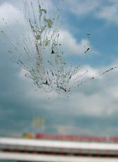 A close-up image of bird poop on a window, with blue sky in the background.